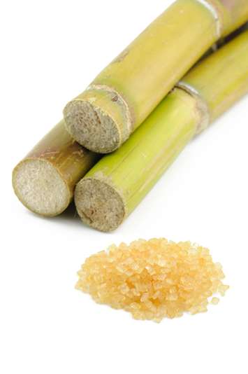 sugar cane